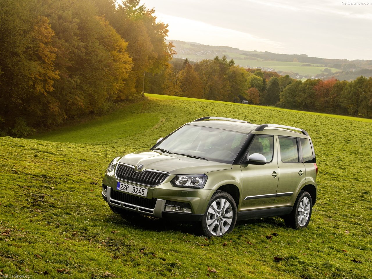     Skoda Yeti     -  