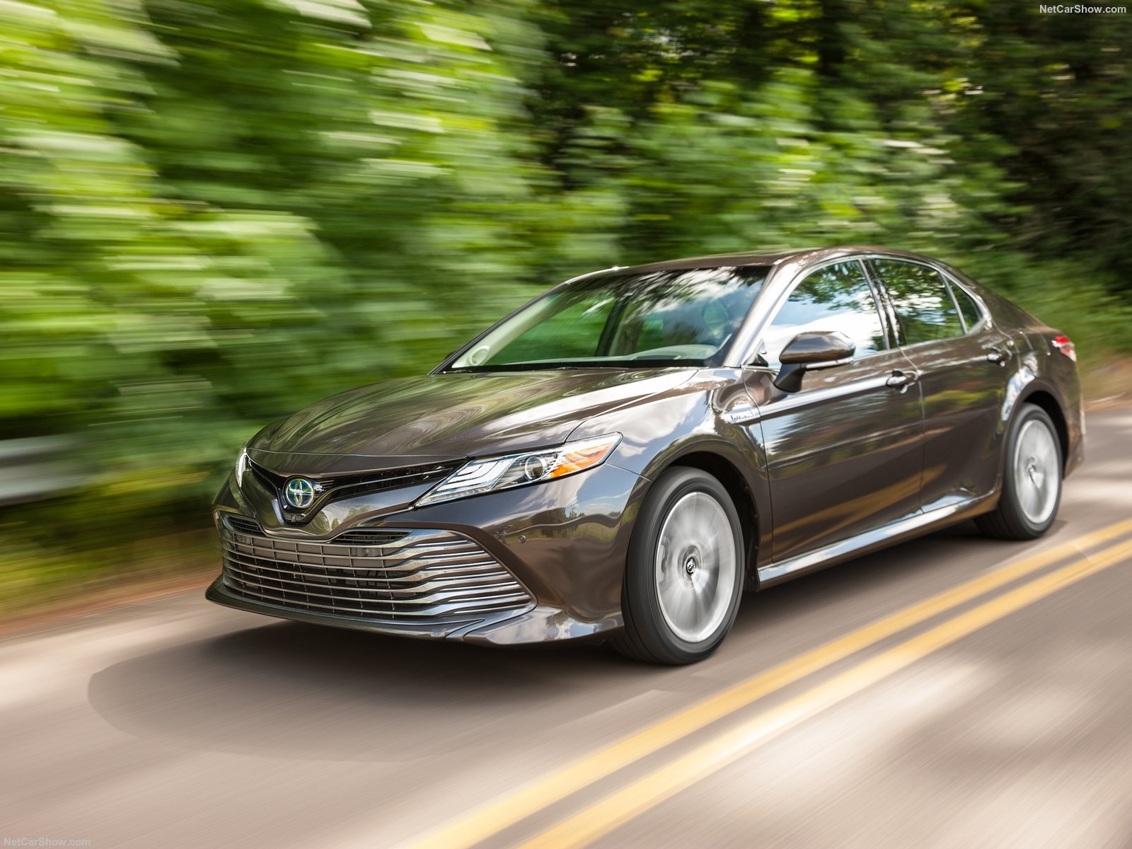 Toyota Camry XLE 2019