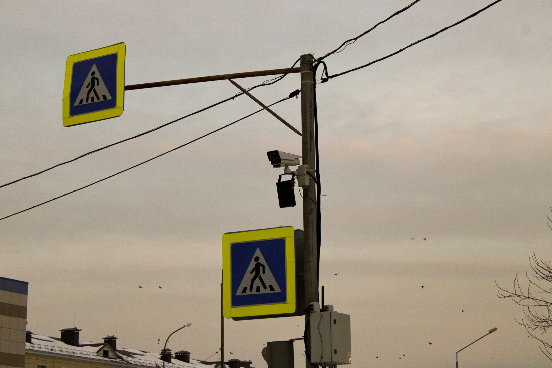 Гаишник объяснил, почему ночью не все водители получают штрафы с дорожных камер