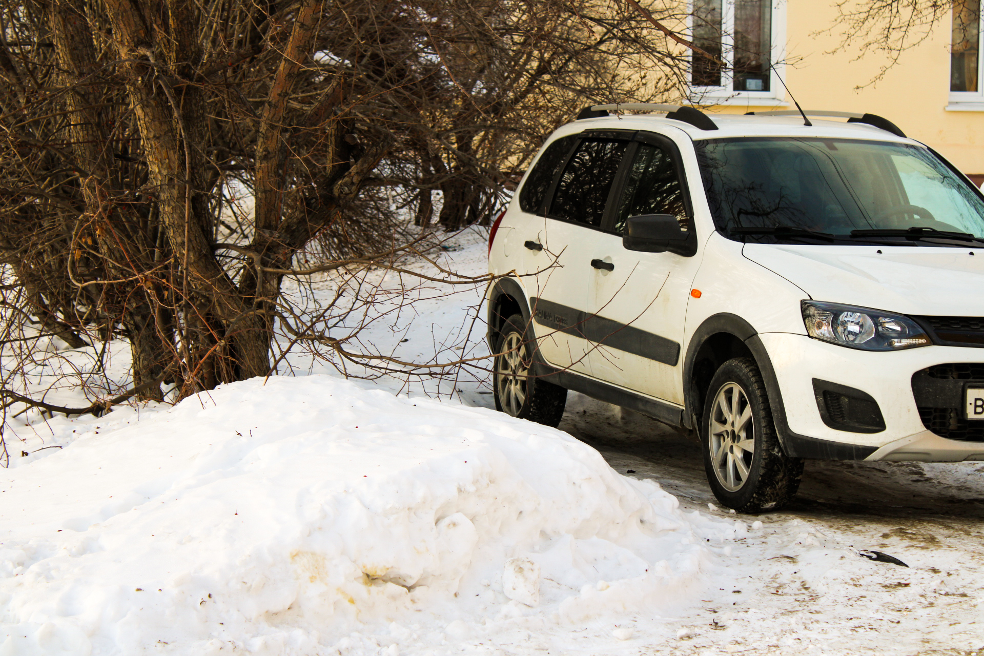 Водителям разъяснили, какие предметы нужно срочно убрать из салона машины зимой