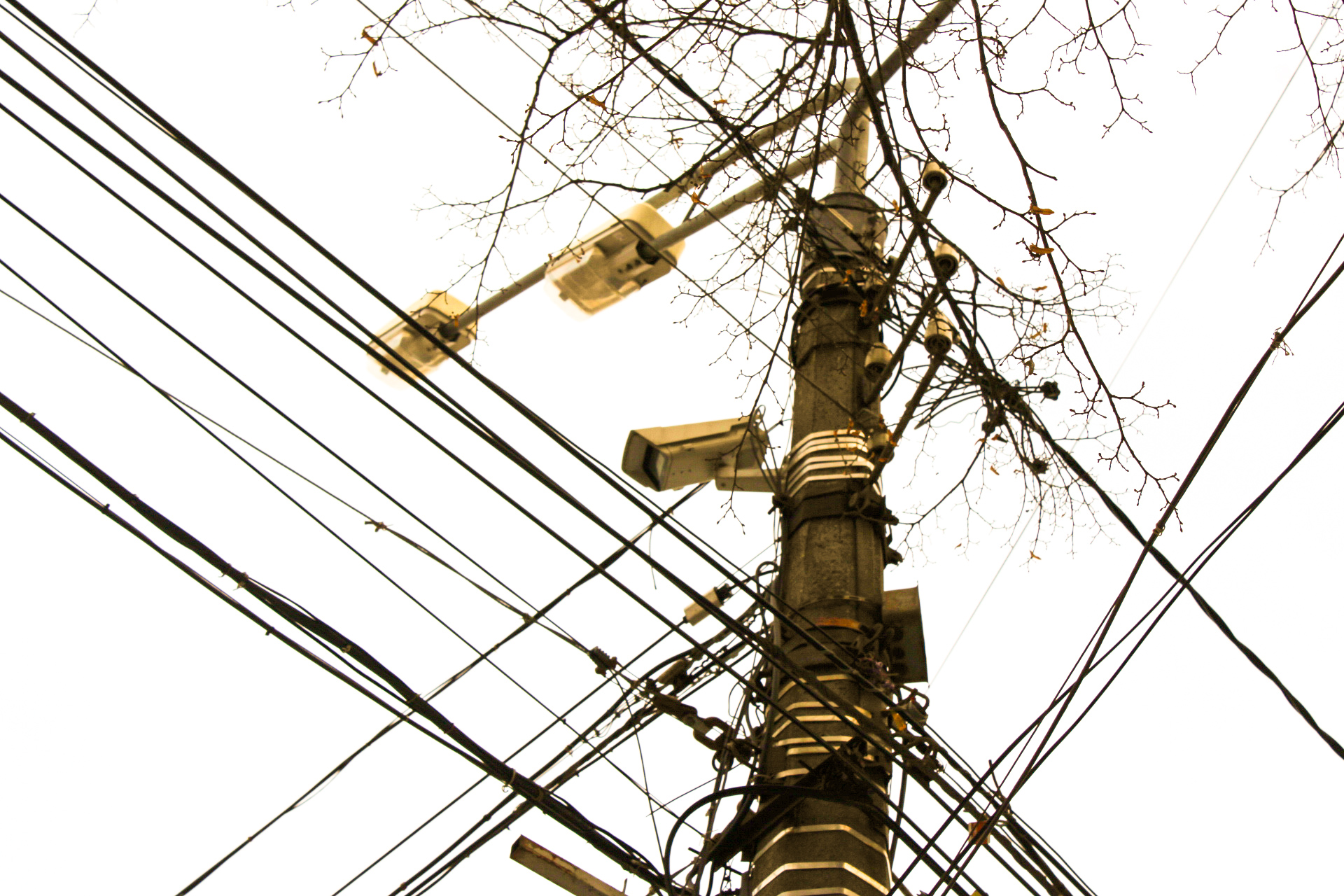 МВД обновит систему фиксации нарушений: камеры станут умнее, а ошибочные штрафы — реже