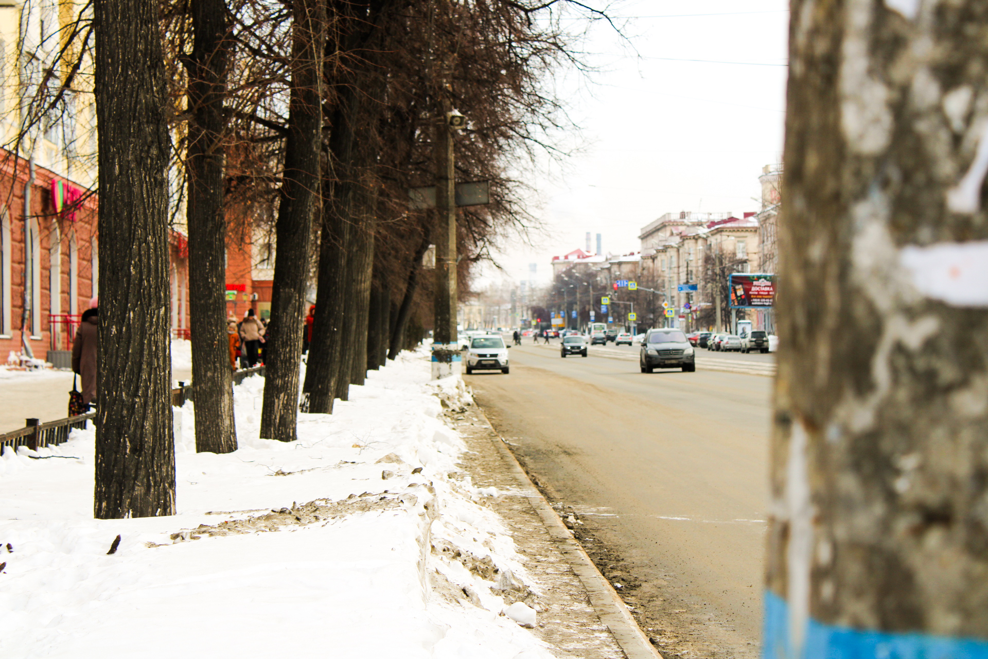 С 1 ноября россиян ждут новые штрафы, рост цен на авто и ужесточение контроля: что изменится для водителей