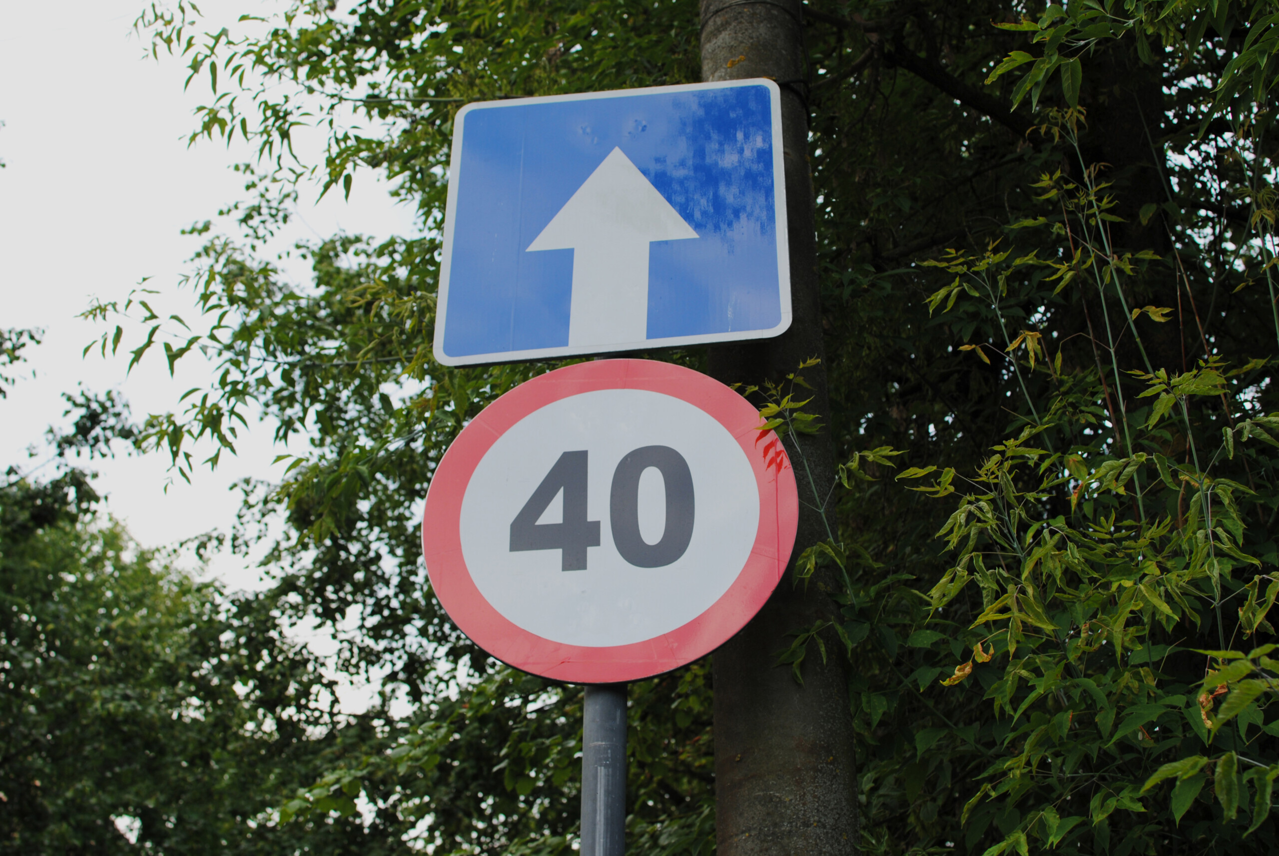 ТОП новых дорожных знаков, о значении которых вы вряд ли догадывались