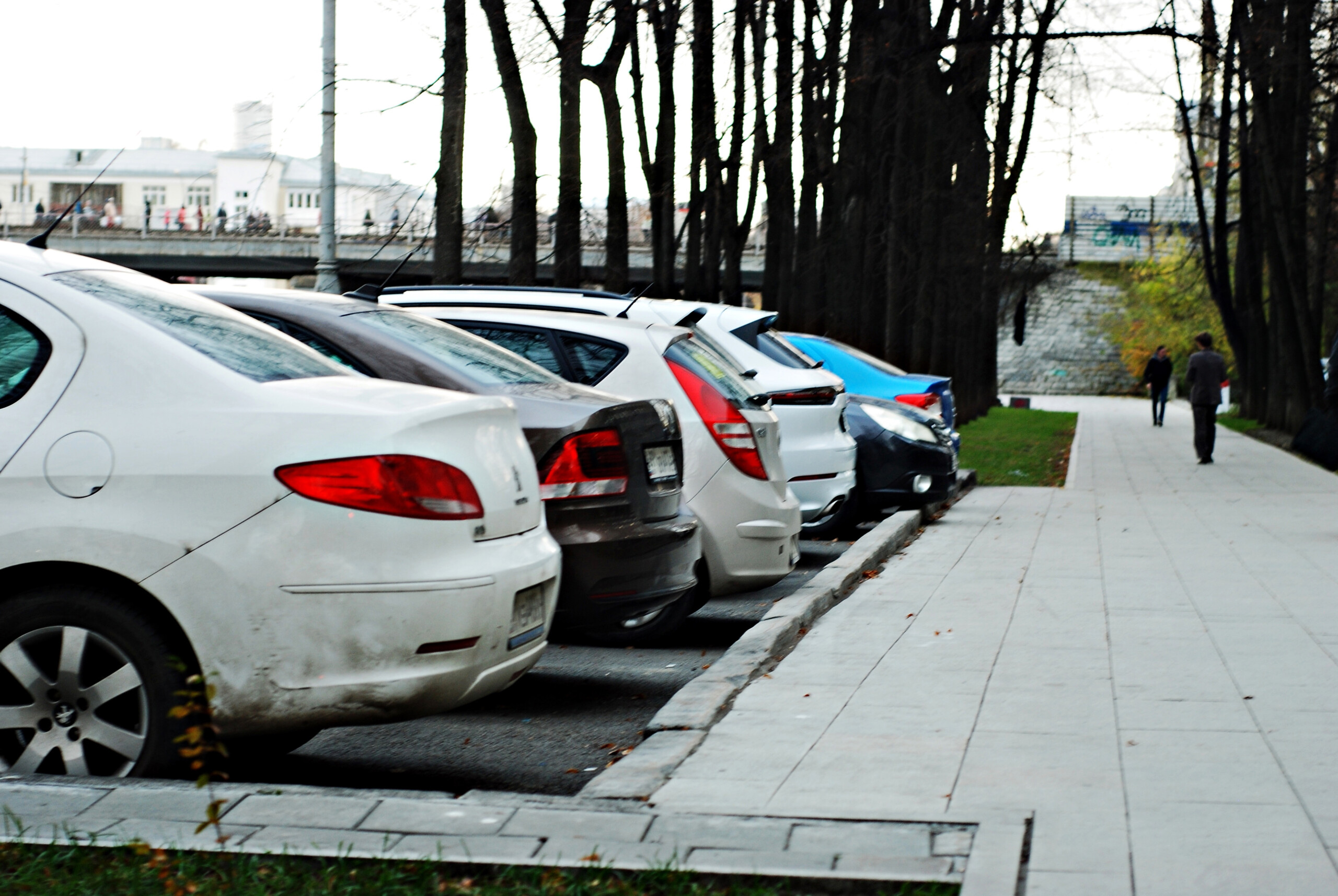 В Госдуме предложили ввести единые бесплатные дни на платных парковках по всей России