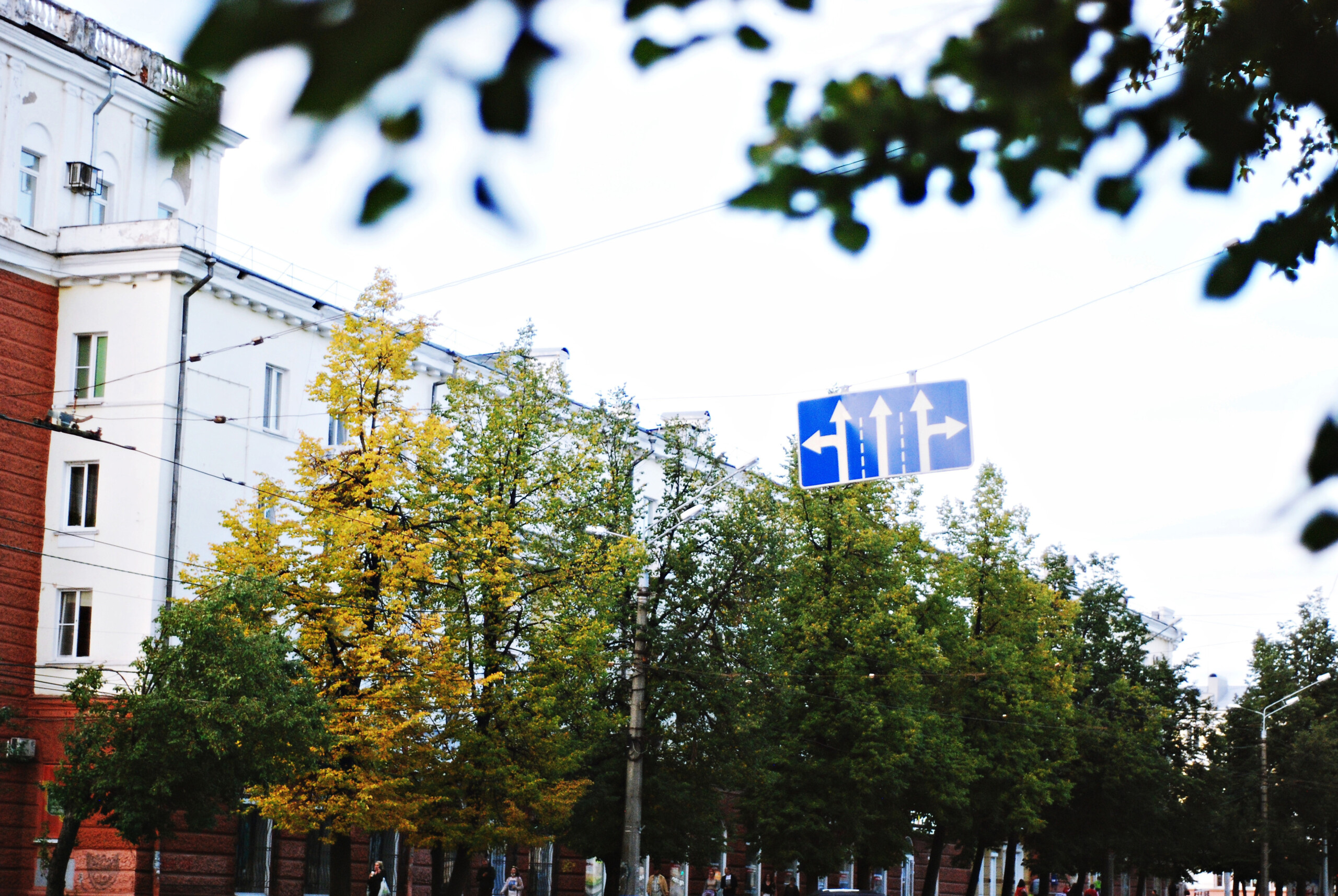 Владелец СТО раскрыл, какую опасность представляют опавшие листья для вашего авто