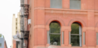 Eventide возродила Music Mouse Лори Шпигель: легендарный «умный» инструмент 1980-х вернули на macOS и Windows 11