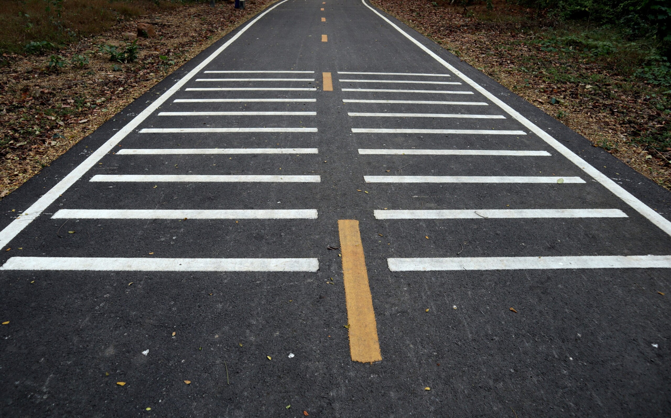 В Австралии начали наносить «защитные полосы» перед круговыми перекрестками: они заставляют сбросить скорость